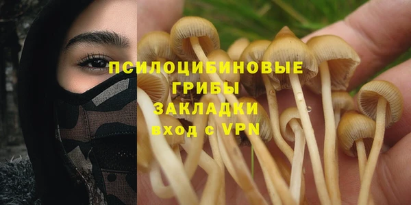 mix Нея