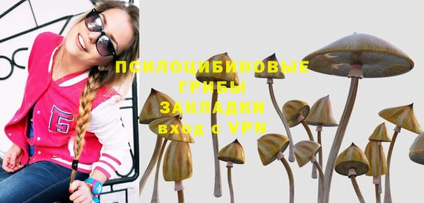соль ск Нефтегорск